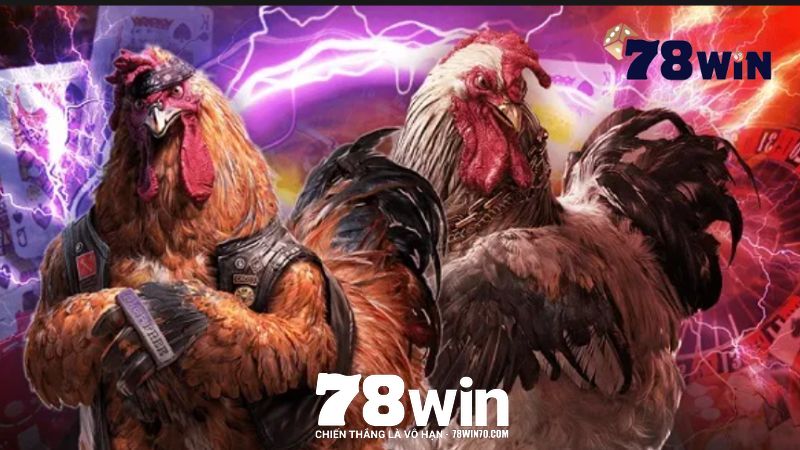 Đá gà 78win có những hình thức thi đấu nào hay?