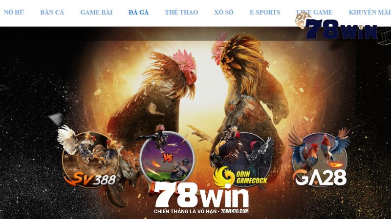 Khám phá ưu điểm vượt trội tại đá gà 78win